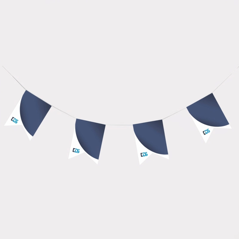 Vlaggenlijnen - Image 7