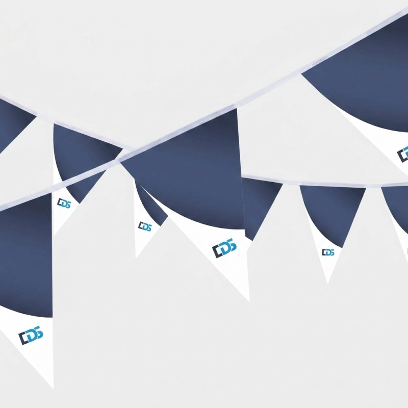 Vlaggenlijnen - Image 8